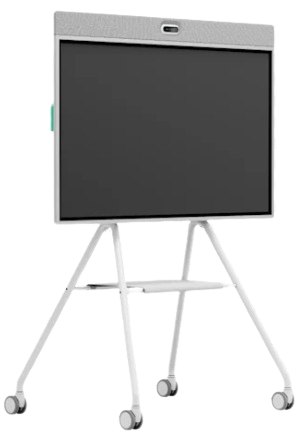 Rally Board 65